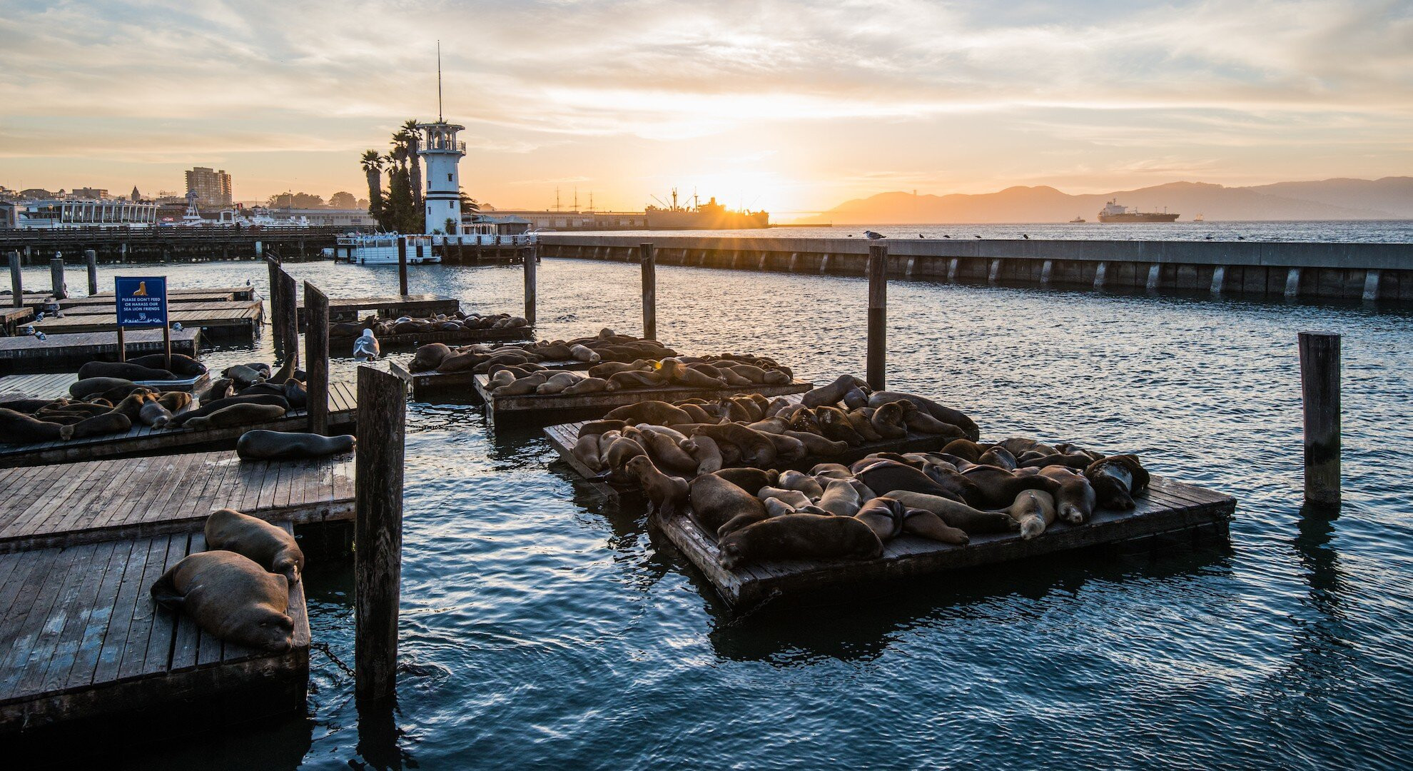 San Francisco Holidays 2020/2021