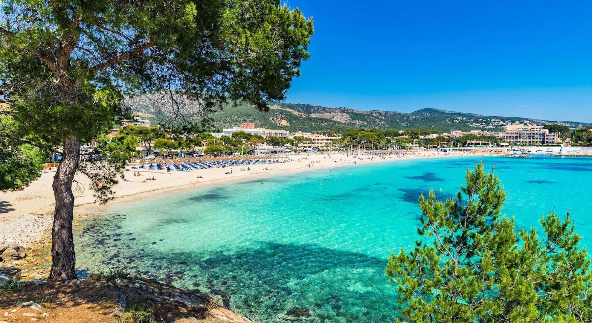 Palma Nova Holidays 2020/2021
