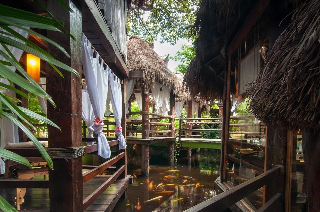 Blue Parrot 5th Avenue, Playa del Carmen, Riviera Maya Area