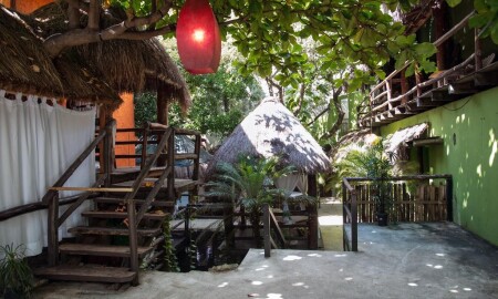 Blue Parrot 5th Avenue